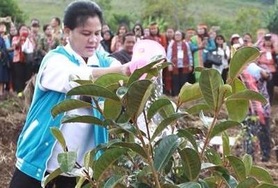 Iriana Joko Widodo Kagum Danau Toba